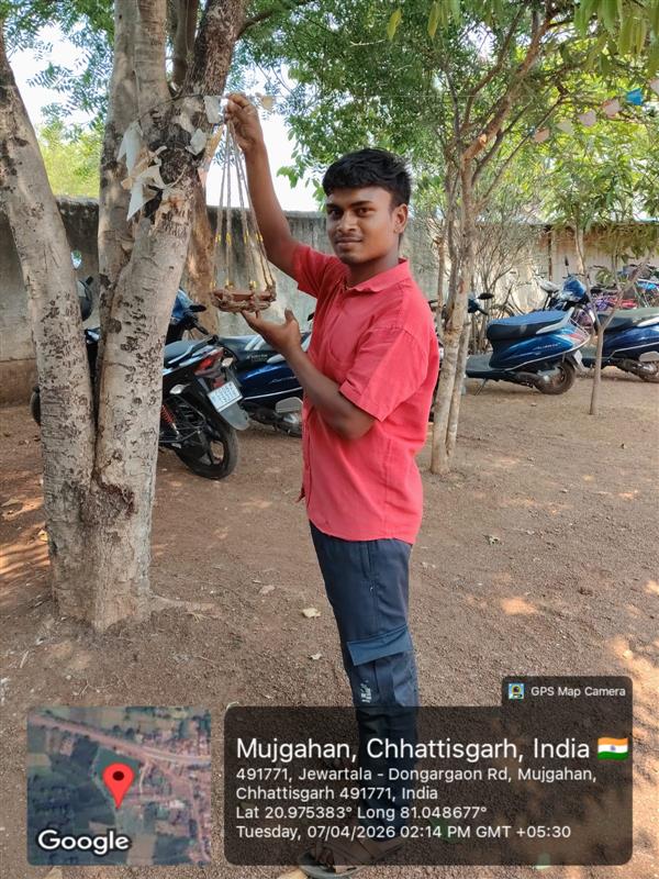 पक्षियों के लिए दाना-पानी की उचित व्यवस्था